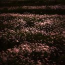 대명유수지 - 3898 | 대명유수지