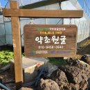 숙원농장 이미지