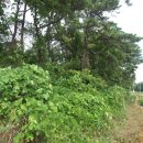 성해목장 이미지