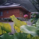 선원농장 이미지