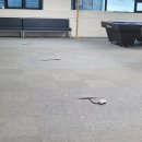 스마트 당구클럽 이미지