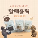 강아지홀릭 | 부산 강아지 수제간식 달래홀릭 명태간식 후기