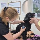 몽클라우드 이미지