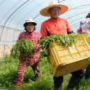 서편영농조합법인 이미지