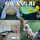 몽실이네 | 서울 근교 애견카페 몽실이네 프라이빗 텐트 대여 솔직후기