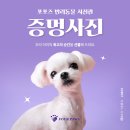 (주)포즈 이미지