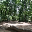 오리들1길 이미지