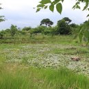 산청에가면 이미지