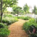 서울건강의료기 이미지