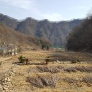 춘천정도공인중개사사무소 Daum카페