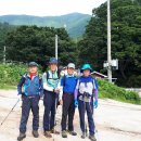 포항 비학산(762m) : 한여름 무더위 속으로 이미지