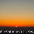 희망의 꽃 이미지