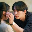 태풍이네 이미지