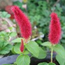 정원주유소 이미지