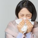 필라테스 C반 이미지