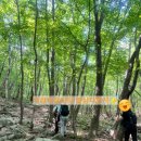 돼지골 | 경남 합천군 가야산 남산제일봉 완벽 가이드 : 돼지골 탐방지원센터(원점회귀, 초보자 코스)산행 이야기
