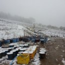 산수화농장 이미지