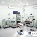 선천가설 이미지