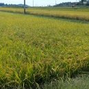 동강공인중개사사무소 이미지