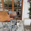 오리엔탈바자르 | Tunis) 튀니지 튀니스 카르타고 유적지 넘넘 맛있었던 맛집 카페 레 쟝데시 'Les indécis'