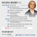 미트러스 네이버블로그