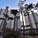 노은탑공인중개사사무소 이미지