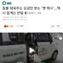 동물 태워주는 요금만 받는 '펫 택시'... 택시 업계는 반발 이미지