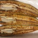 기절초풍천장어 이미지