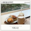 교대역 2번출구 | 부산교대빵집 추천 카페 고온 | 부산소금빵 맛집 솔직 후기