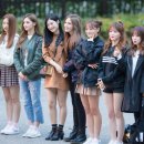 픽미픽미 이미지