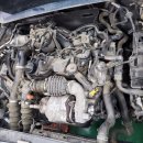 고구마카센타 이미지