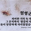 점령군 이미지