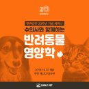 24시센트럴동물메디컬센터 이미지
