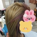 H.A Top 헤어빈