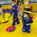 신사합기도유도 이미지