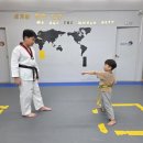 월드베스트태권도 이미지