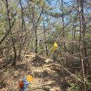 시원하지흉부외과의원 | "일미김밥" - 부디, 안녕한 우리들(1편) ( feat. '해운대 장산 그리고 정상석' ) [해운대구 우동/반여동]