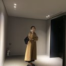 스테이로스터스 이미지