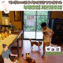 규암공인중개사 | 부여맛집 부여자온길 부여핫플 내돈내산 후기 자온양조장