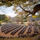 애향공원 이미지