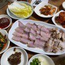 영산포 티스토리