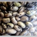 물안개민박 이미지