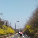 남한강자전거길 13 이미지