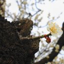 김해건설공업고등학교 이미지