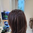 노벨리아 헤어 이미지