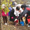 단양국유림관리소 이미지