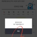 마이오토 이미지
