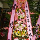 대양물류 이미지