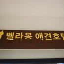 가평애견호텔 24시 믿고 맡길수 있던 벨라몽