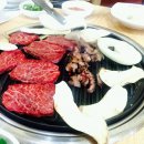 애견프라자 이미지